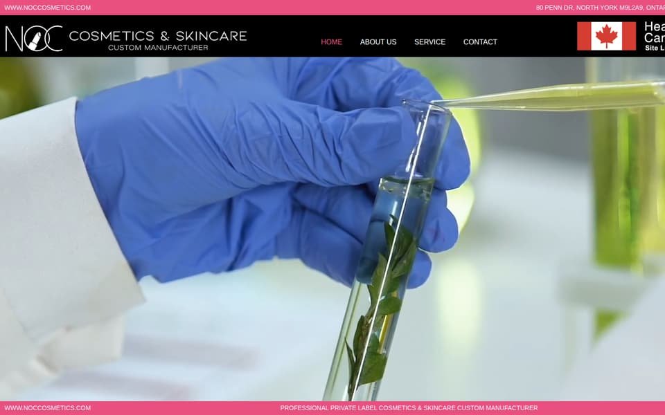 NOCCosmetics.com home page built on WordPress